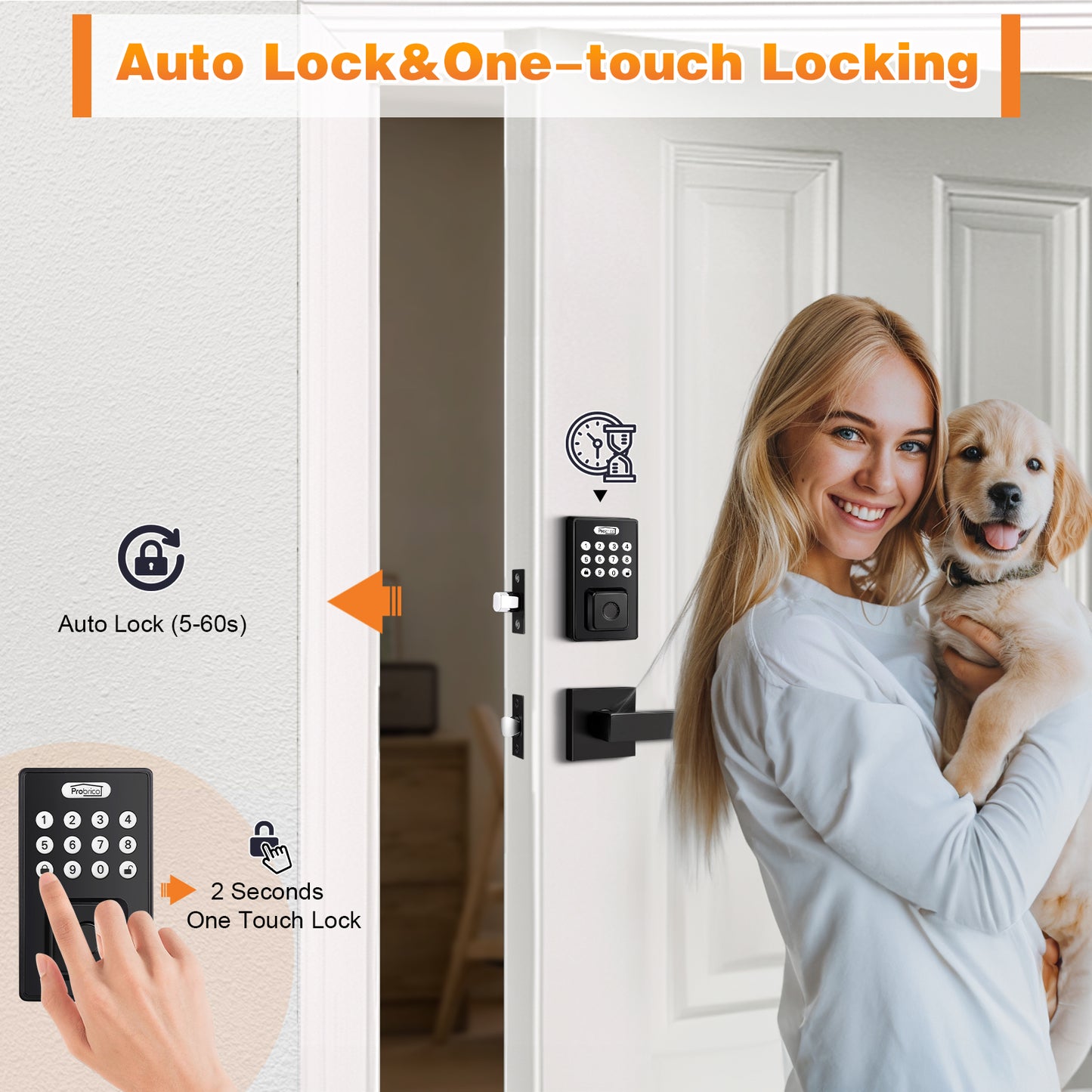 Probrico Smart Keyless Entry Door Lock Deadbolt with Handle Set, Black Fingerprint Door Deadbolt Lock Electronic Digital Door Lock DL01