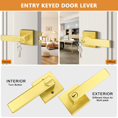 Heavy Duty Door Levers Locks Gold Finish Keyed Alike/Keyed Dummy Door Lock DL01GD